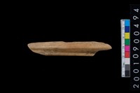 藏品(獸骨)的圖片