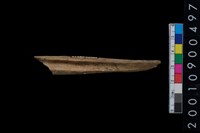 藏品(獸骨)的圖片