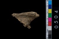 藏品(獸骨)的圖片