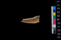 藏品(獸骨)的圖片