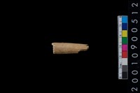 藏品(獸骨)的圖片