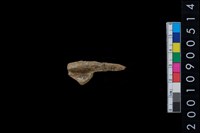 藏品(獸骨)的圖片