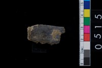 藏品(獸骨)的圖片