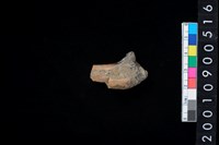 藏品(骨材)的圖片