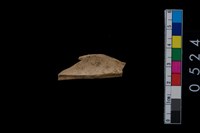 藏品(獸骨)的圖片