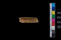 藏品(獸骨)的圖片