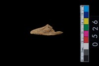 藏品(獸骨)的圖片