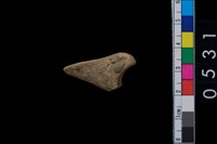 藏品(獸骨)的圖片