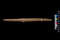 藏品(魚叉)的圖片