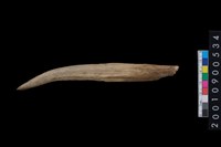 藏品(角尖器)的圖片