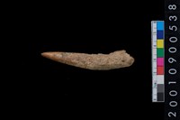 藏品(角尖器)的圖片