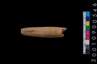 藏品(魚叉)的圖片