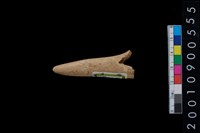 藏品(不明角器)的圖片