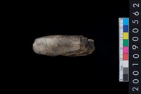 藏品(魚叉)的圖片