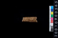 藏品(鹿角)的圖片