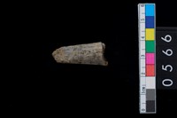 藏品(鹿角)的圖片