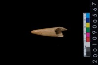 藏品(角尖器)的圖片