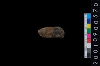 藏品(獸骨)的圖片