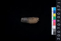 藏品(角尖器)的圖片