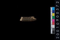 藏品(獸骨)的圖片