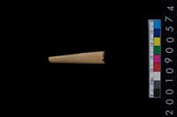 藏品(鹿角)的圖片