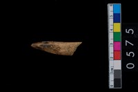 藏品(角尖器)的圖片