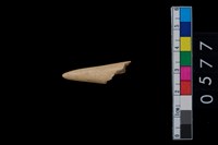 藏品(鹿角)的圖片