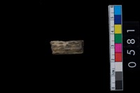 藏品(鹿角)的圖片