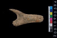 藏品(角器)的圖片