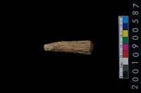 藏品(鹿角)的圖片