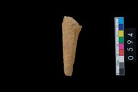 藏品(鹿角器)的圖片