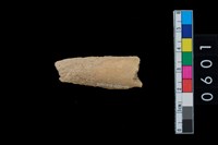 藏品(鹿角殘片)的圖片