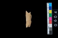 藏品(獸肢骨殘片)的圖片