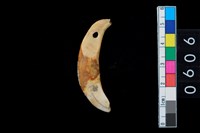 藏品(帶穿牙飾)的圖片