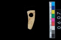 藏品(帶穿牙飾)的圖片