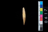 藏品(牙尖器)的圖片