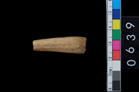 藏品(魚骨?)的圖片