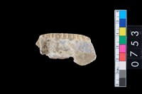 藏品(貝飾品?)的圖片