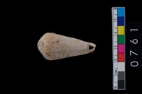 藏品(貝飾品)的圖片