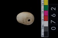 藏品(貝飾品)的圖片