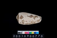 藏品(貝飾品)的圖片