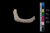 藏品(貝環)的圖片