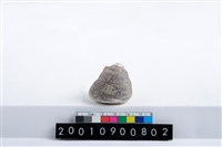 藏品(鐘螺)的圖片