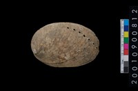 藏品(九孔螺)的圖片