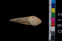 藏品(海捲)的圖片