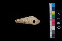 藏品(海捲)的圖片