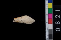 藏品(海捲)的圖片