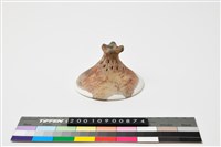 藏品(陶蓋)的圖片