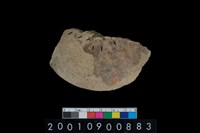 藏品(陶蓋)的圖片