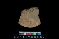 藏品(陶蓋)的圖片